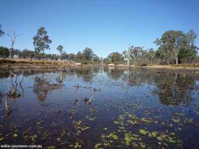 ACREAGE AND INCOME STREAM Picture