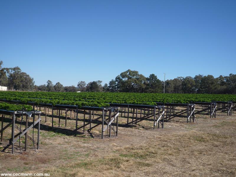 ACREAGE AND INCOME STREAM Picture 2