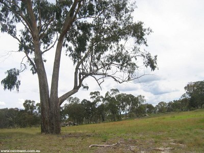 DALCOUTH - RURAL HOME SITE Picture