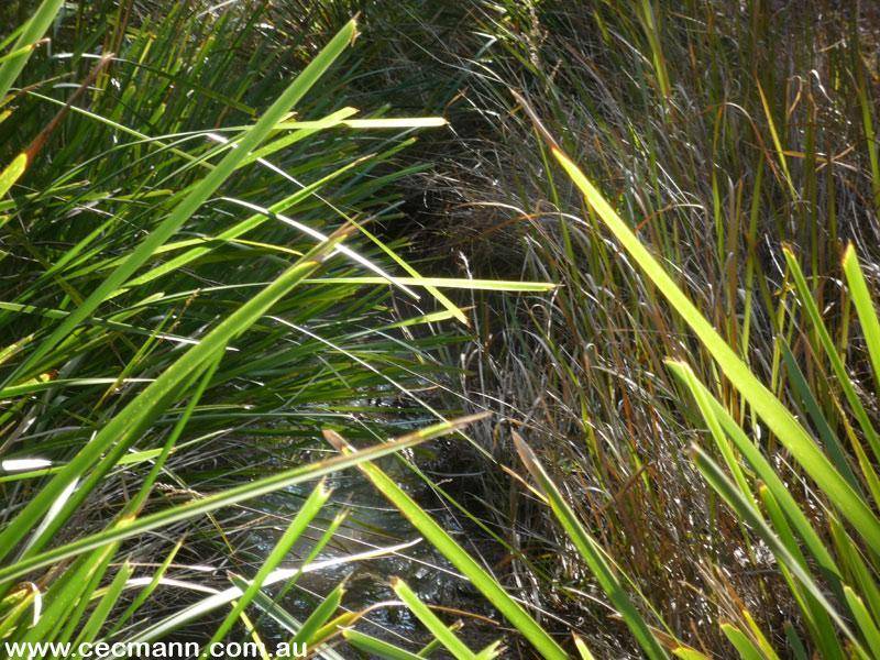 ENJOY NATURES WONDERS Picture 3