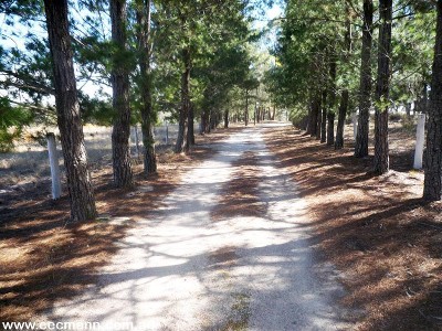 EXTENDED FAMILY WANTED Picture