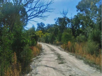 153 ACRE BUSHLAND RETREAT Picture