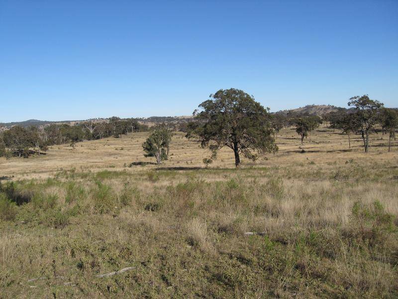 FANTASTIC GRAZING BLOCK WITH VIEWS Picture 2