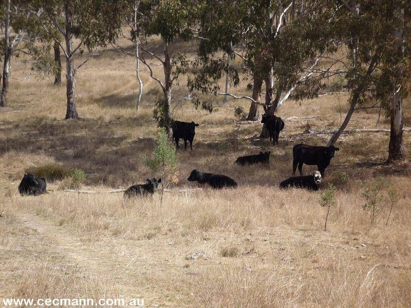 FANTASTIC GRAZING BLOCK WITH VIEWS Picture 3