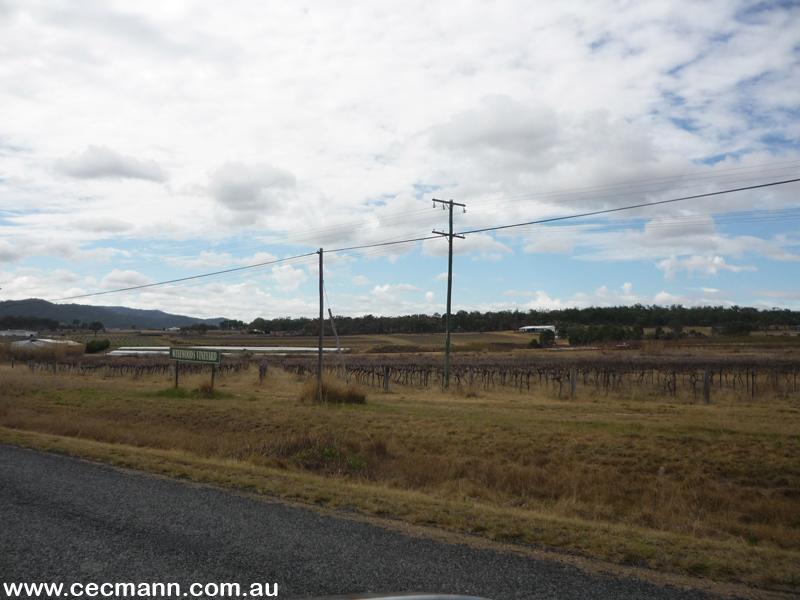 HEART OF GRAPE COUNTRY Picture 3