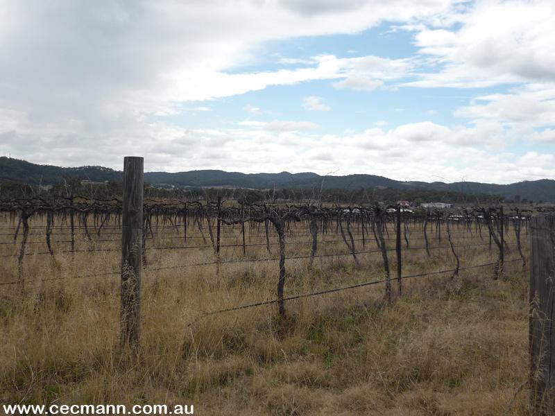 HEART OF GRAPE COUNTRY Picture 2