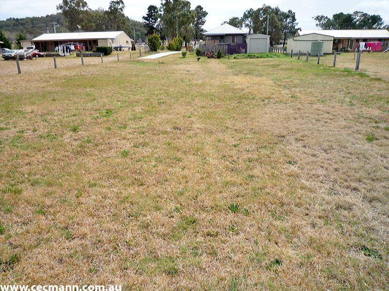 A GREAT BLOCK TO BUILD ON Picture 3