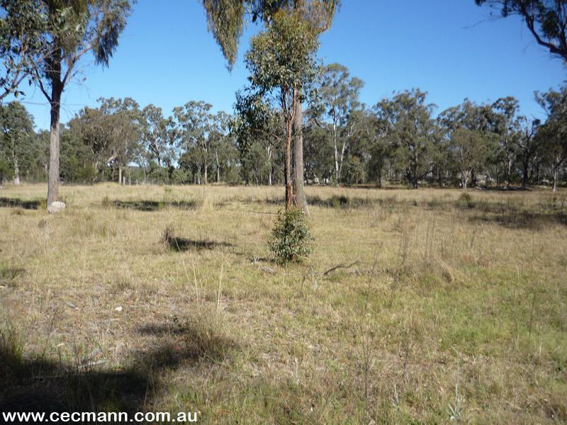 FANTASTIC PEACEFUL HOMESITE Picture 3