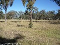 FANTASTIC PEACEFUL HOMESITE Picture