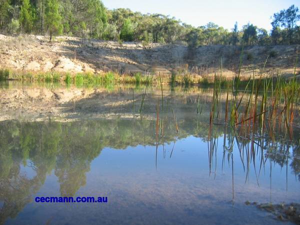 A Beautiful and Diverse Block Picture 2