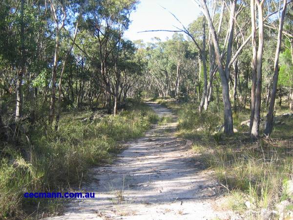 A Beautiful and Diverse Block Picture 3