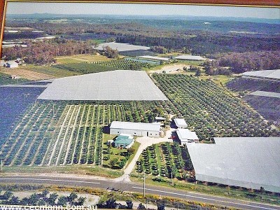 FANTASTIC INCOME PRODUCING FARM Picture