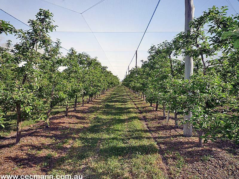 FANTASTIC INCOME PRODUCING FARM Picture 2