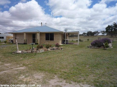 YOUR TREE CHANGE IS WAITING Picture