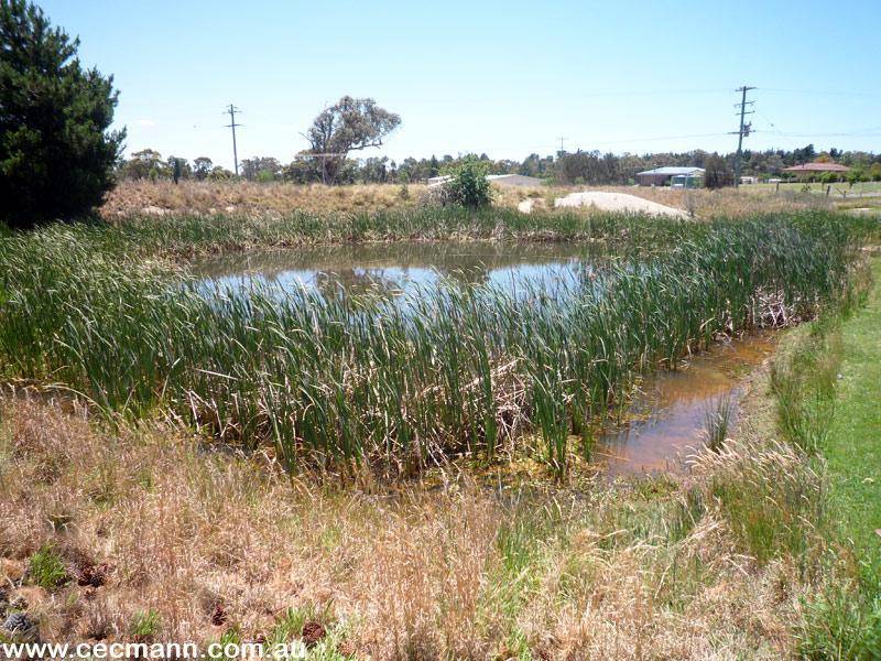 A COOL GREEN HAVEN ON 5 ACRES Picture 3