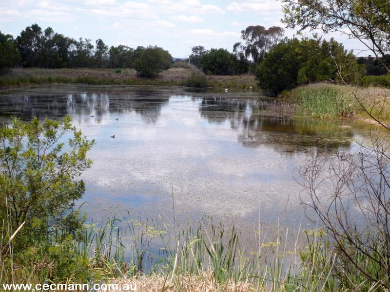 GREAT INCOME PRODUCING ACREAGE Picture 1