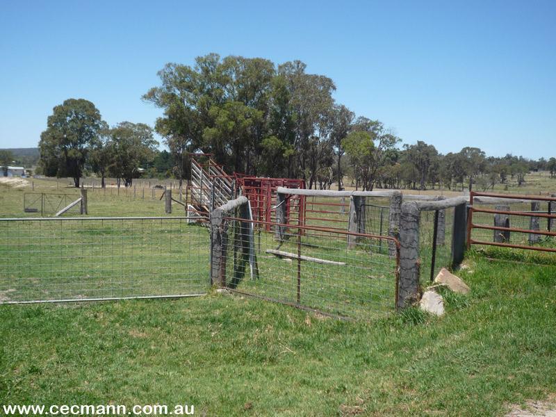 FOUR BEDROOM HOME ON 19 ACRES Picture 2