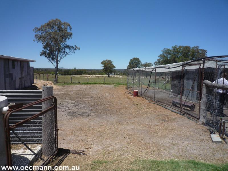 FOUR BEDROOM HOME ON 19 ACRES Picture 3