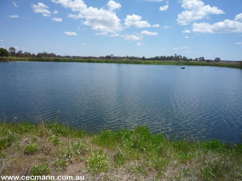 GREAT LITTLE ORCHARD Picture 1