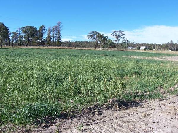 GREAT BLOCK CLOSE TO TOWN Picture 2