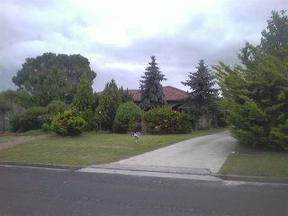 LARGE 3 BEDROOM HOME Picture 2