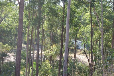 Potential of the Acres Block Picture