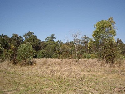 Great Rural Lifestyle Picture