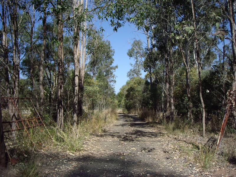 Great Rural Lifestyle Picture 3