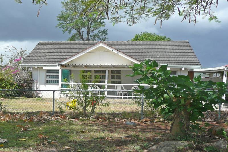 Great Starter Picture 1