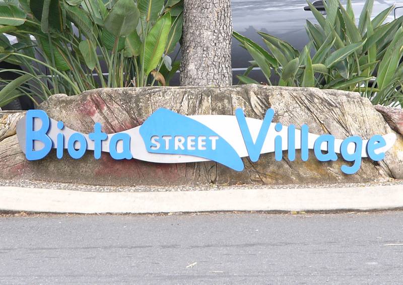 Great Starter Picture 2