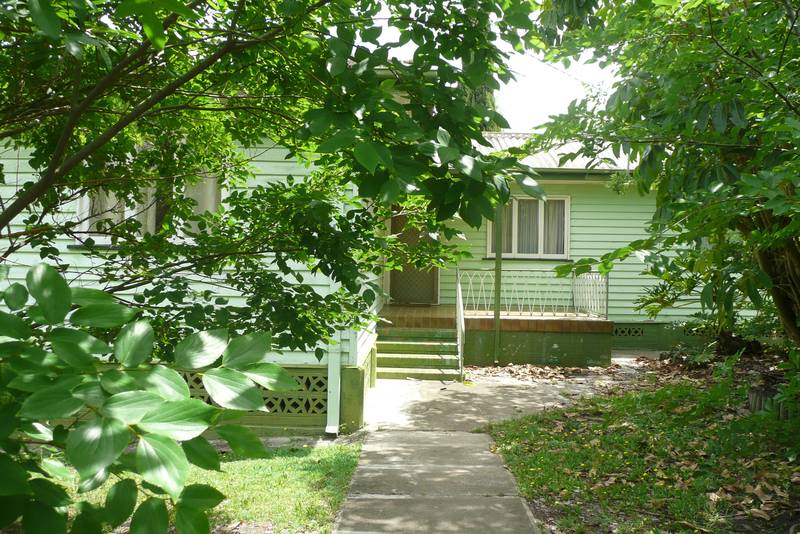 Great Starter Picture 1