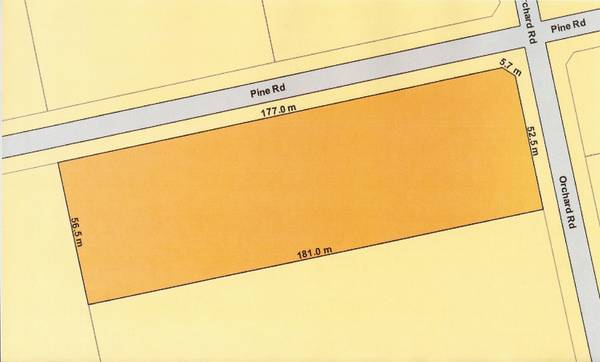 Sold by Trish McCauley in 3 days Picture 1