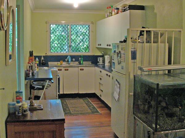 Oxley Charmer Picture 3