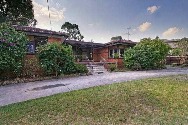 THE OPTIONS ARE ENDLESS Picture 1