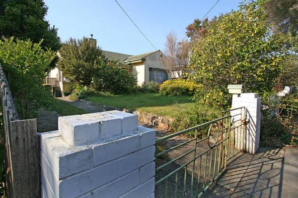 LARGE BLOCK - CBD Picture 1