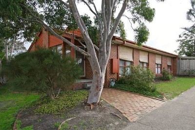 RENOVATED GEM Picture