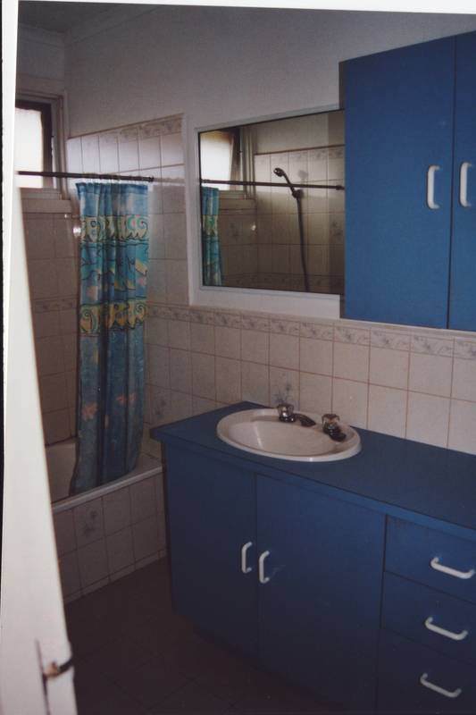 CLOSE TO EVERYTHING Picture CLOSE TO EVERYTHING Picture