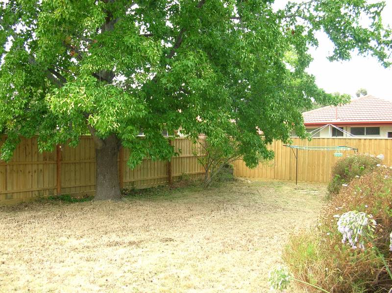 A UNIT ON A HOUSE-SIZED BLOCK Picture 3