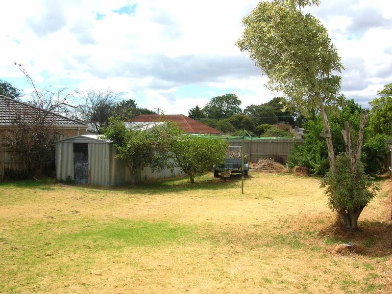 FUTURE POTENTIAL Picture 3