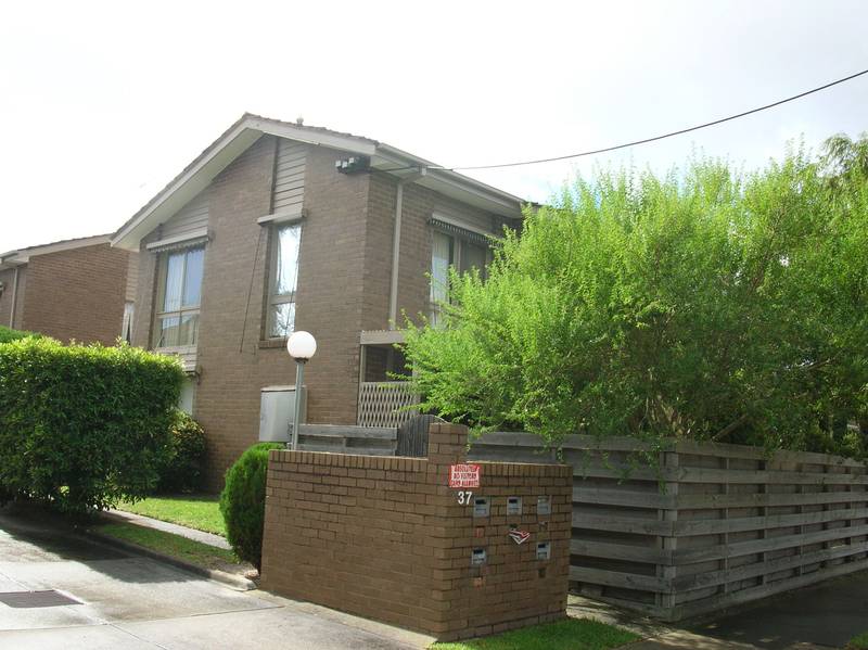 South Frankston Surprise Picture 1