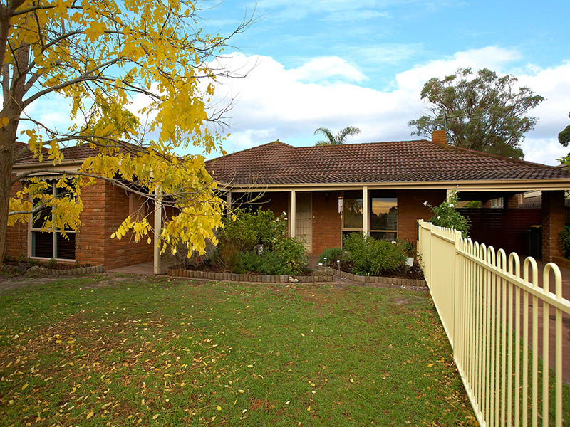 THE GEM OF ELDORADO Picture 1