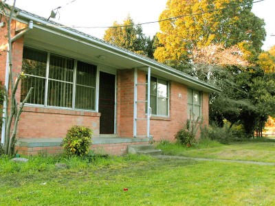 BRING YOUR PAINTBRUSH ... Picture