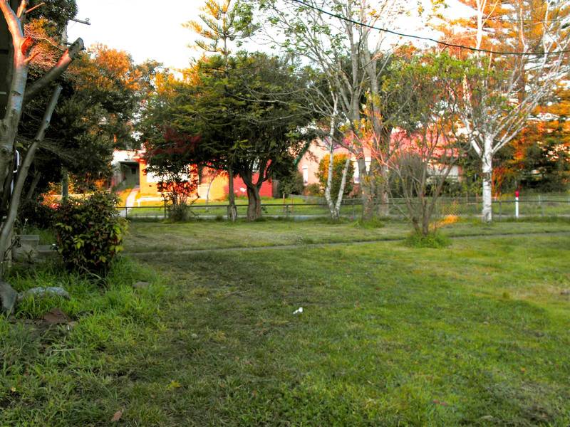 BRING YOUR PAINTBRUSH ... Picture 3