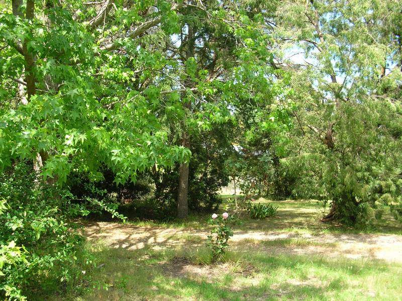 PRICE REDUCED FOR QUICK SALE Picture 2