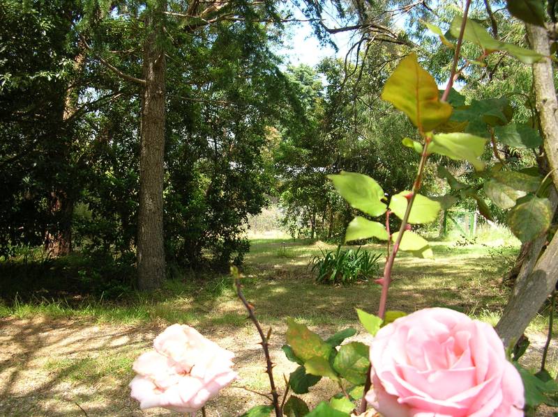 PRICE REDUCED FOR QUICK SALE Picture 1