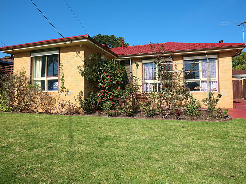 THE POOL'S THE BONUS Picture 1