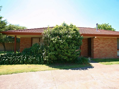 LEAP INTO THE MARKET Picture LEAP INTO THE MARKET Picture