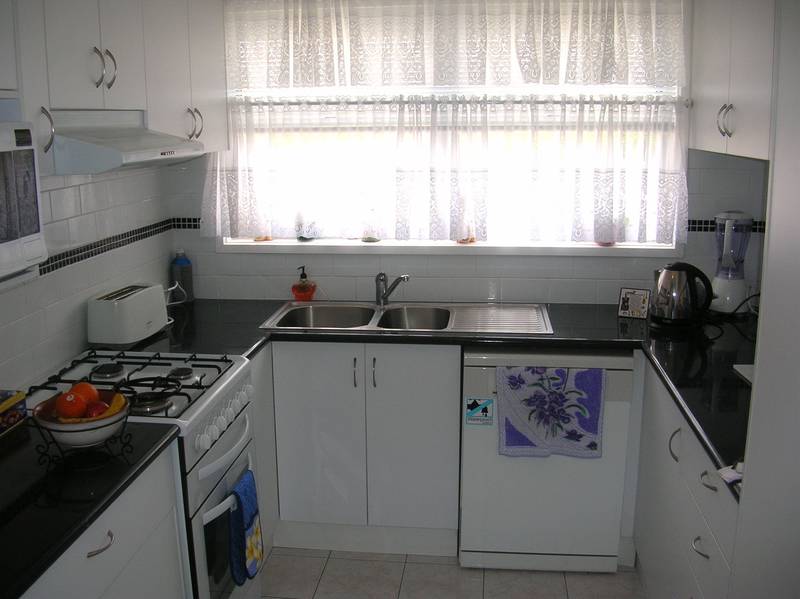 SMELL THE ROSES! Picture 2