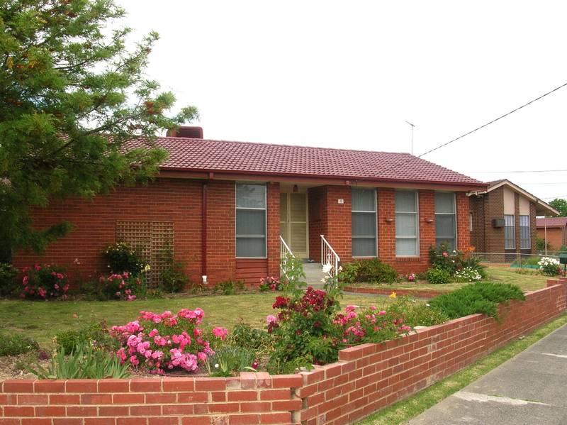 SMELL THE ROSES! Picture 1