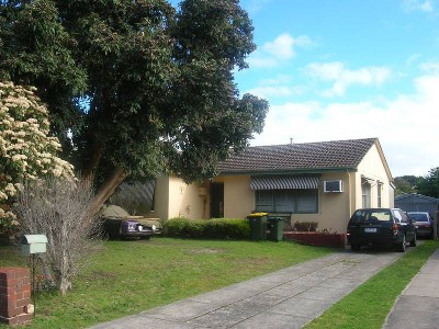 BARGAIN HUNTERS Picture BARGAIN HUNTERS Picture